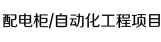 配电柜/工程项目